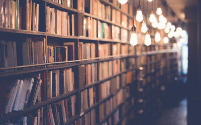 Bibliothek im Griepe Haus