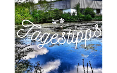 Tipps des Tages 31. Juli
