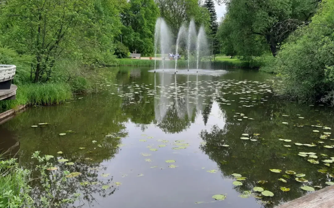 Ruhige Teichpause