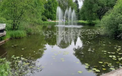 Ruhige Teichpause